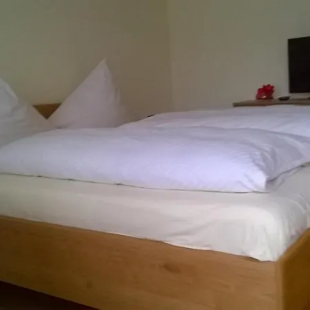 Swiss - App.nelles 3* باد فسينغ